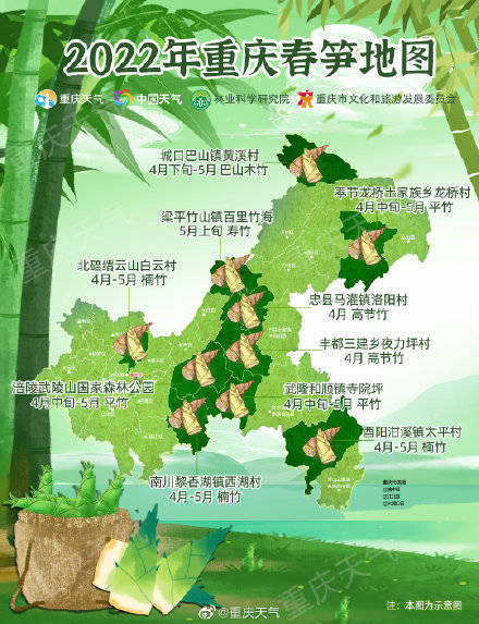 2022重庆春笋地图