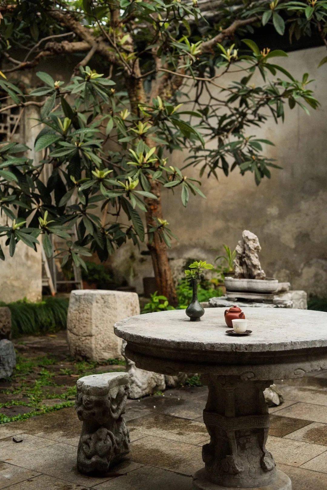 有个院子怀幽纳凉