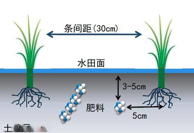 肥料_节本_技术