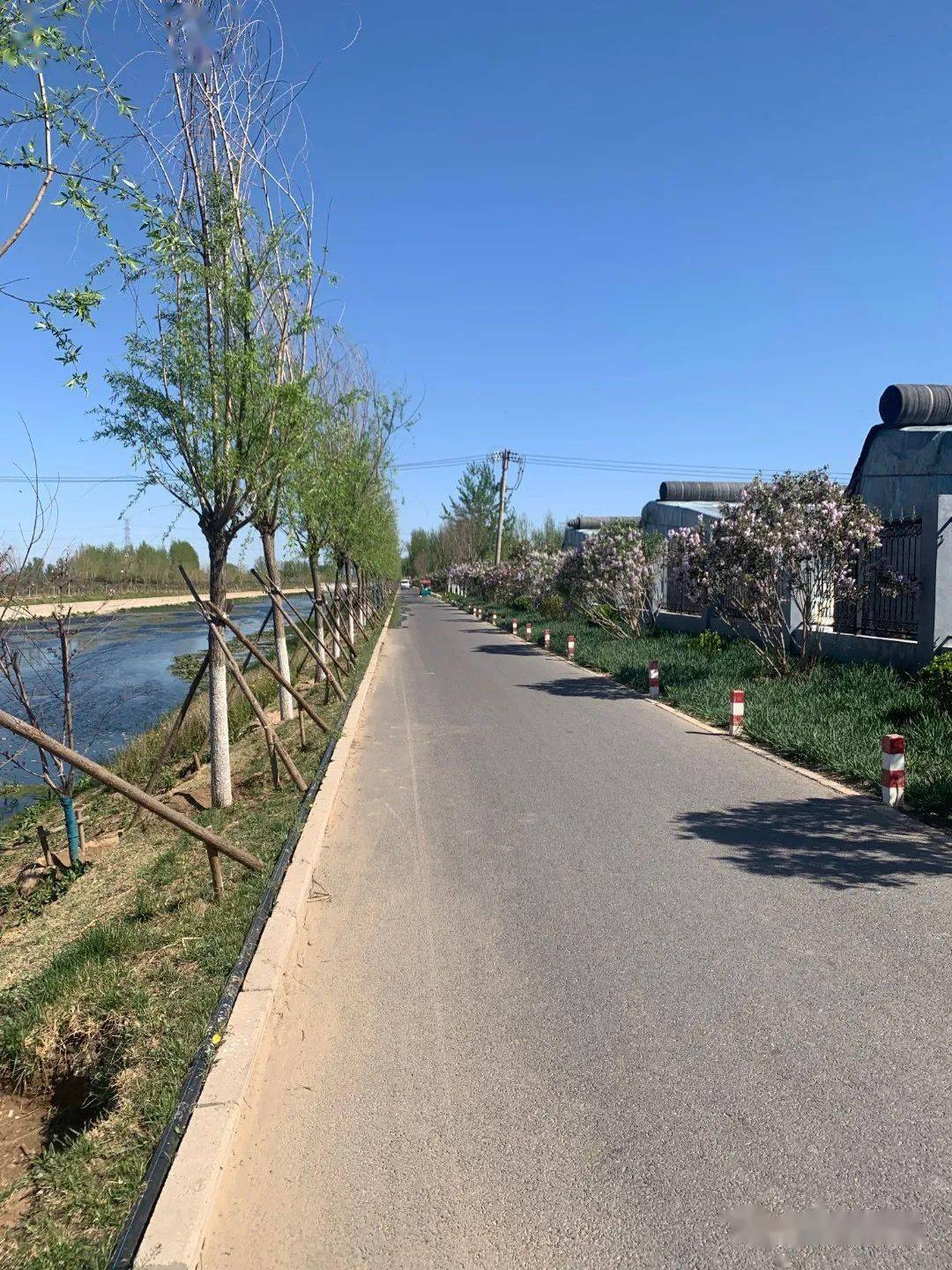 有个景色倍儿棒的小路_河道_小伙伴_芦求路