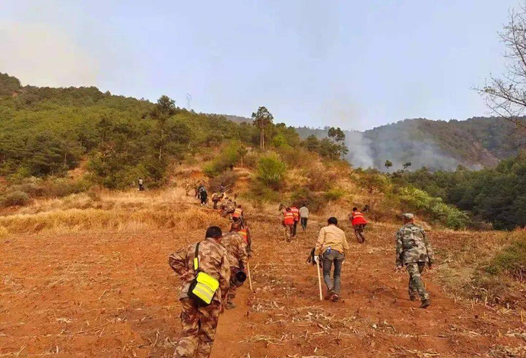 会泽迤车的这场山火损失达1300多万元造成一死一伤被判刑5年零6个月