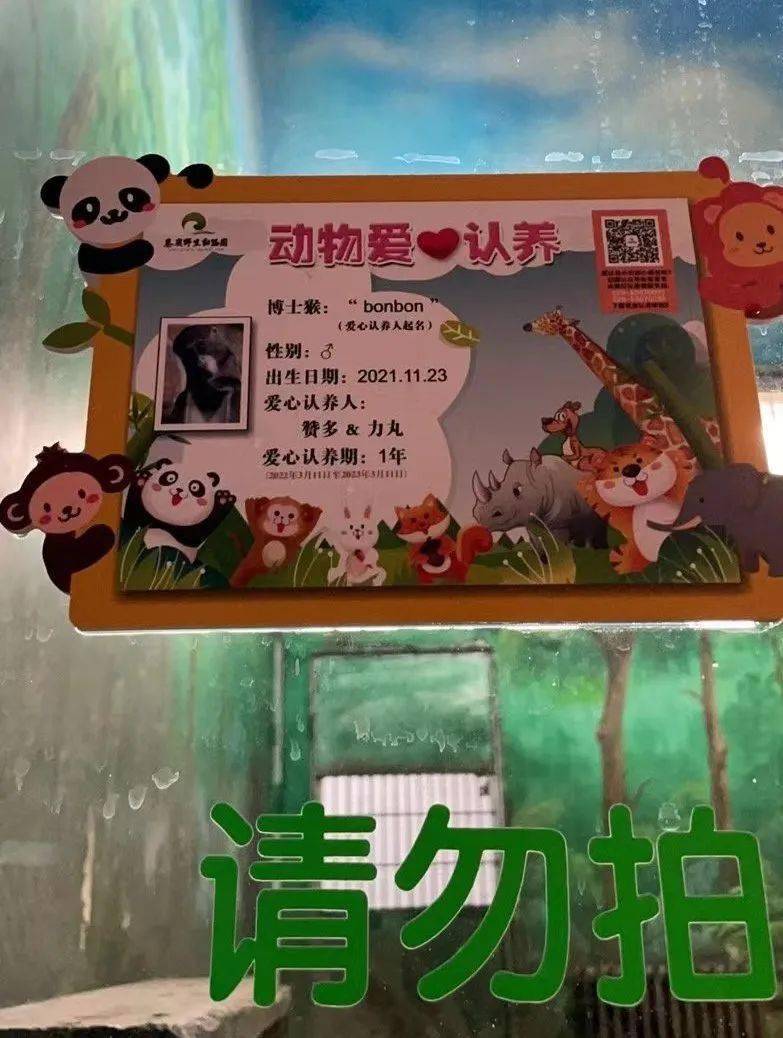 秦岭野生动物园支持野生动物保护与宣传认养一只可爱动物萌宝动物爱