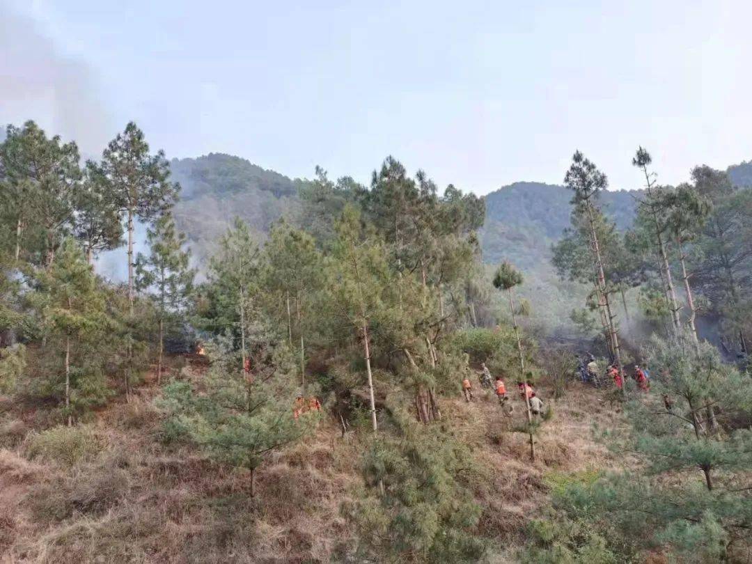 会泽迤车的这场山火损失达1300多万元造成一死一伤被判刑5年零6个月