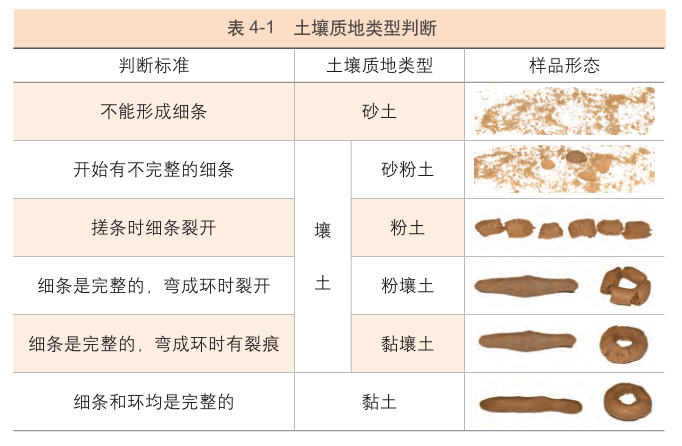 新教材土壤教学经典用图30张