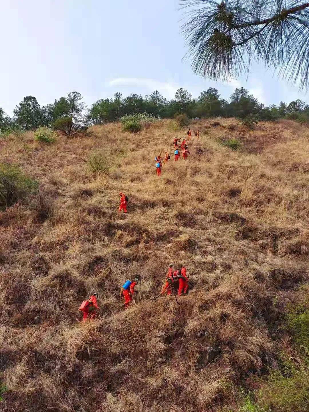 会泽迤车的这场山火损失达1300多万元造成一死一伤被判刑5年零6个月