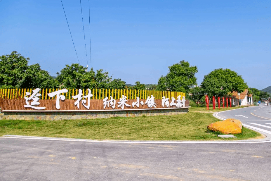 迳下纳米农业公园核心种植试验田今年种植的是新引进的巴斯马蒂米.