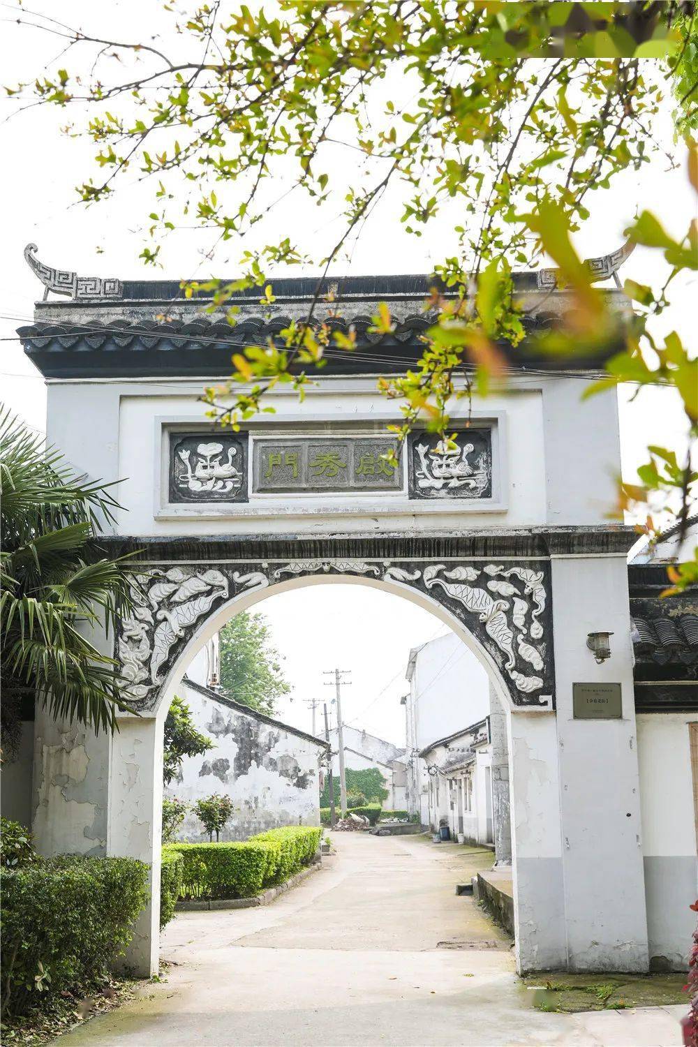 街灰墙,青石甬道那些满载文化碎片的余巷老街,戚墅堰老街……塘桥老街