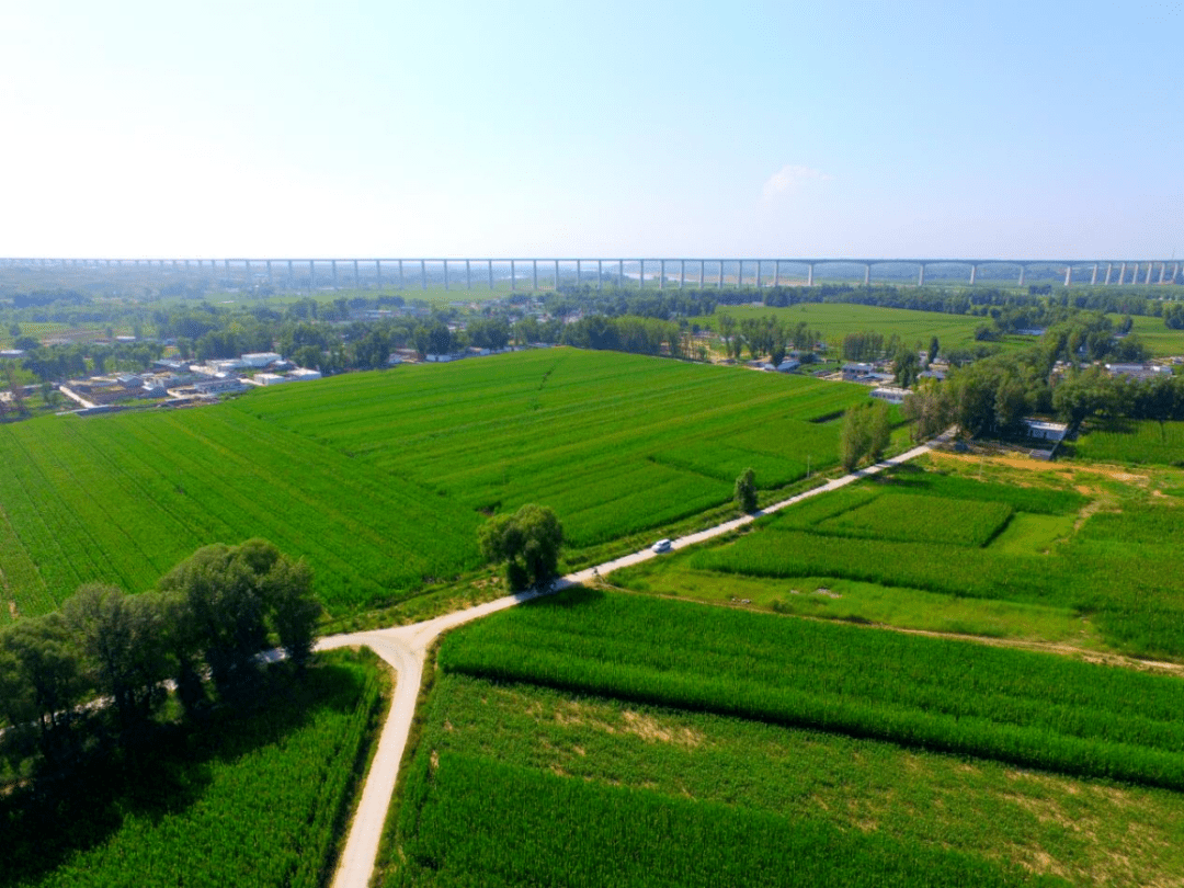 高质量发展看鄂尔多斯丨准格尔旗春耕季科技助农拉动乡村振兴新引擎