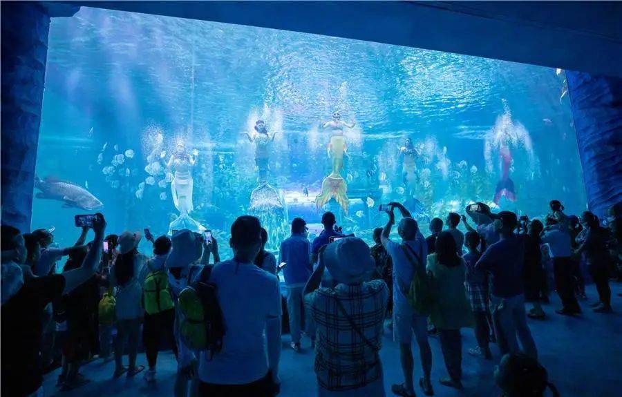 纯玩团带上孩子去海底世界观看奇妙深海吧观看深海两万里缤纷海洋生物