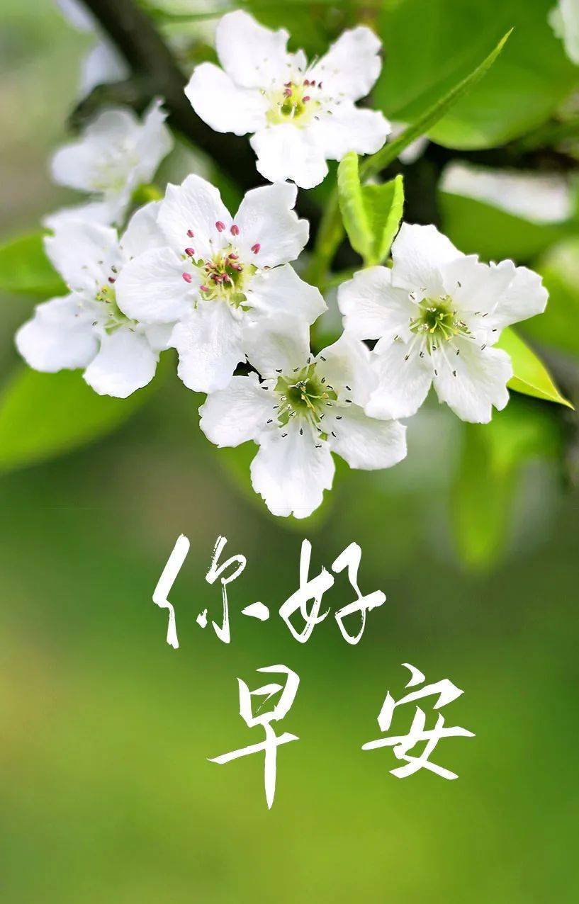 早安!返回搜狐,查看更多