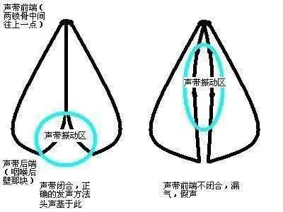 从定义上来讲,气泡音就是在气流通过喉腔时,将闭合声带的中间部分吹出