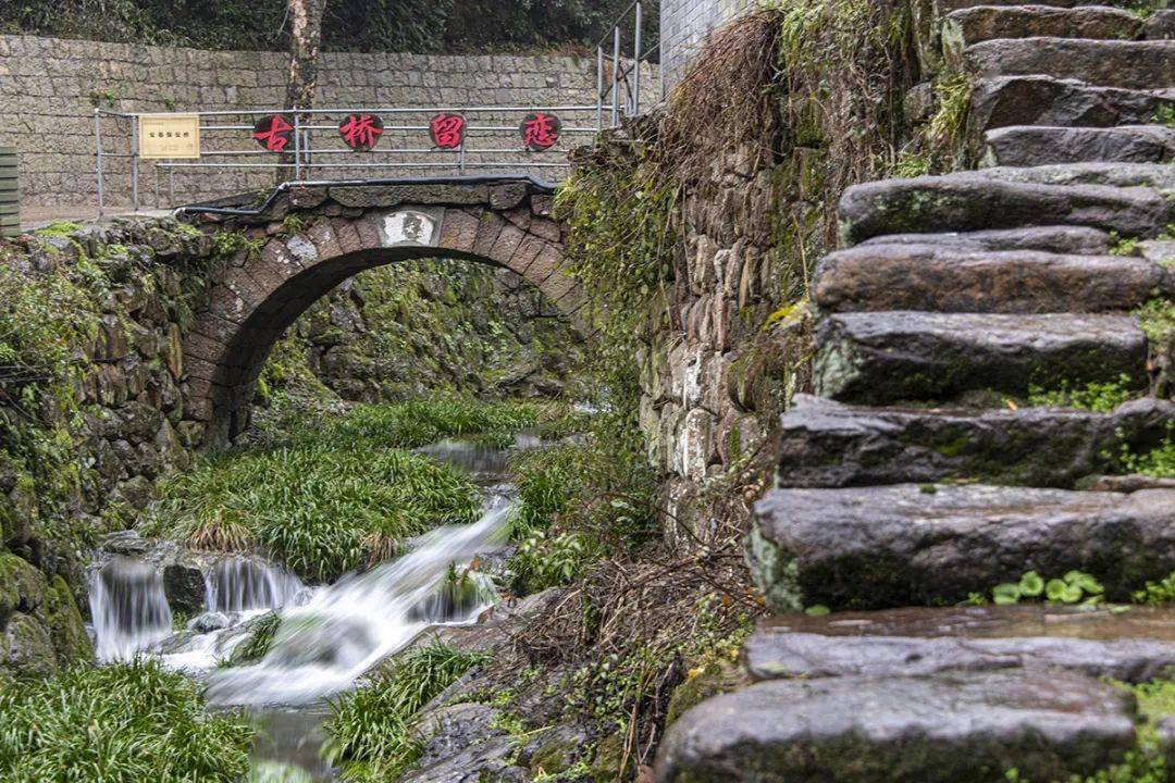绍兴图说青水绿山的平水安基自然村