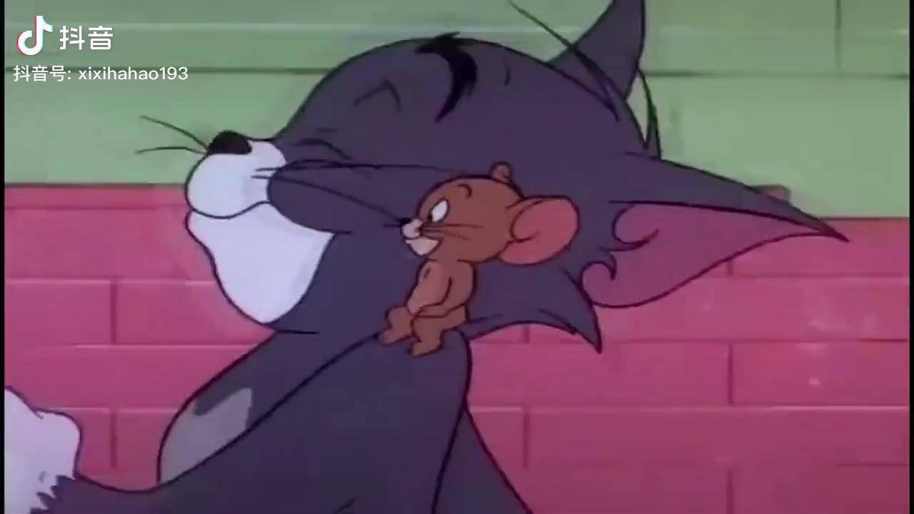 猫和老鼠杰汤姆杰瑞一起看电影看到这些桥段让两人大打出手搞笑动画