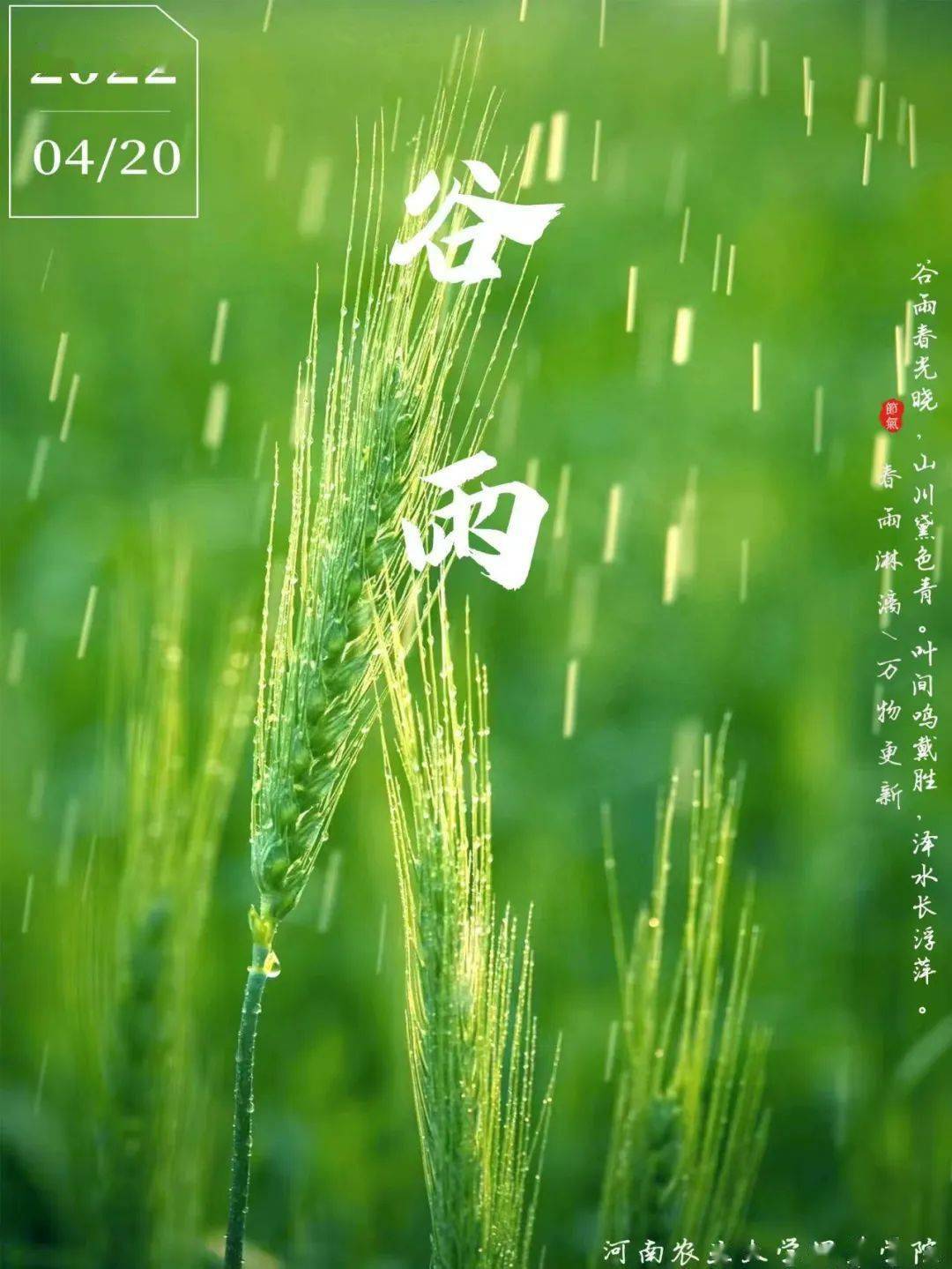 谷雨| 落絮游丝三月候,风吹雨洗一城花_落絮_游丝