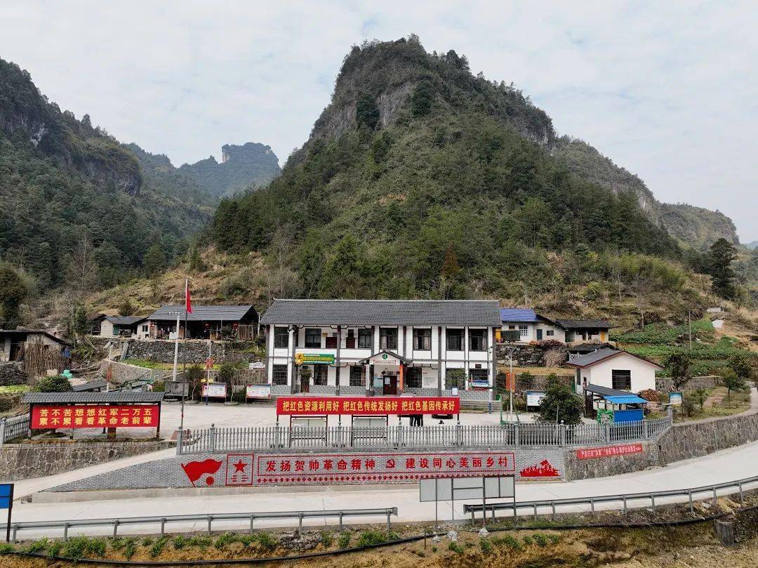 换个视角看中国粽叶之乡