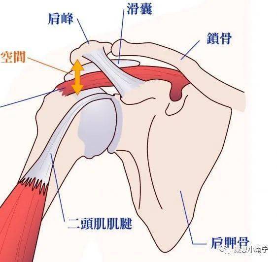 酸痛时你一定会揉捏