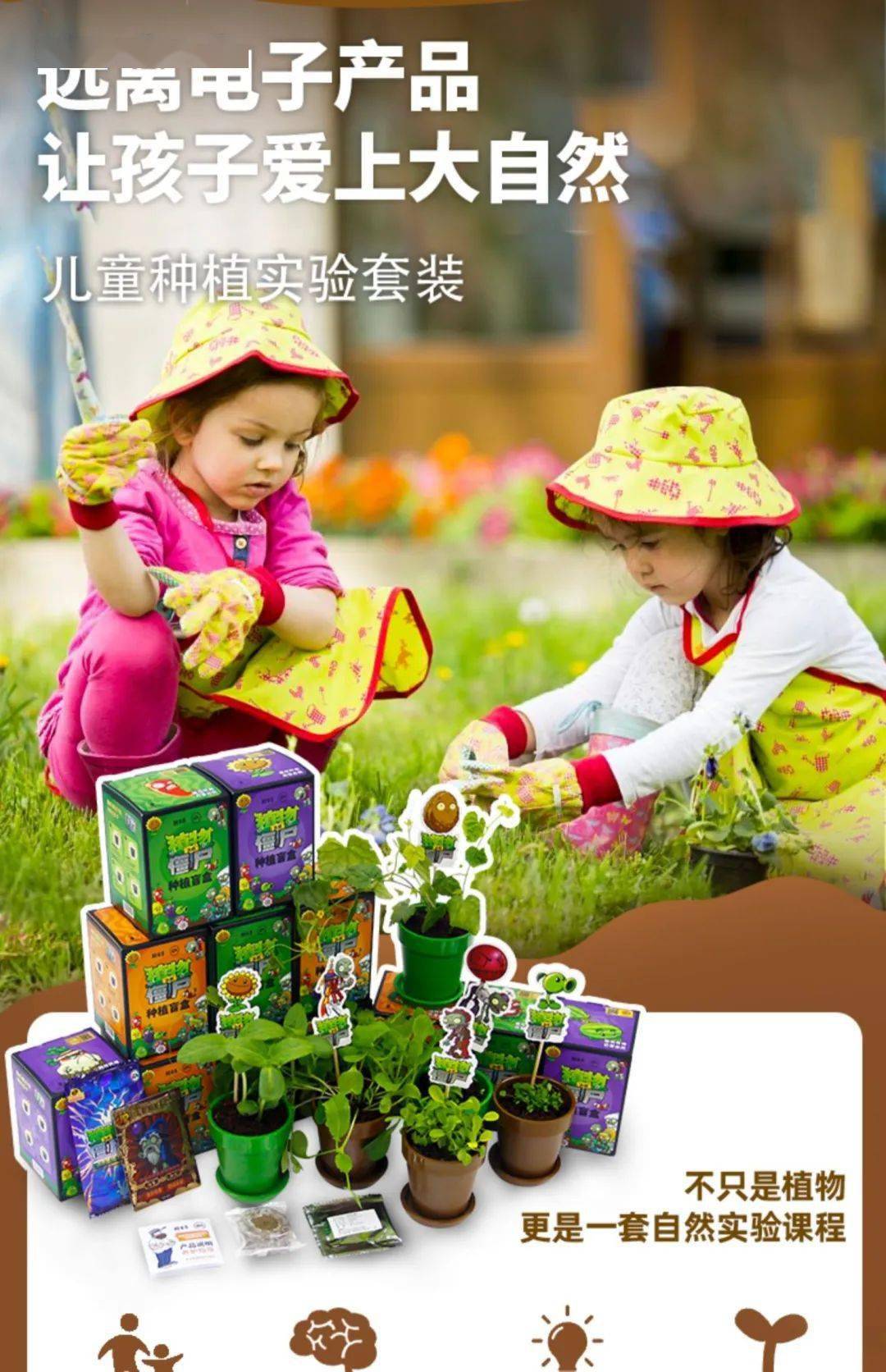 小花农盆栽邀您一起阳台种植