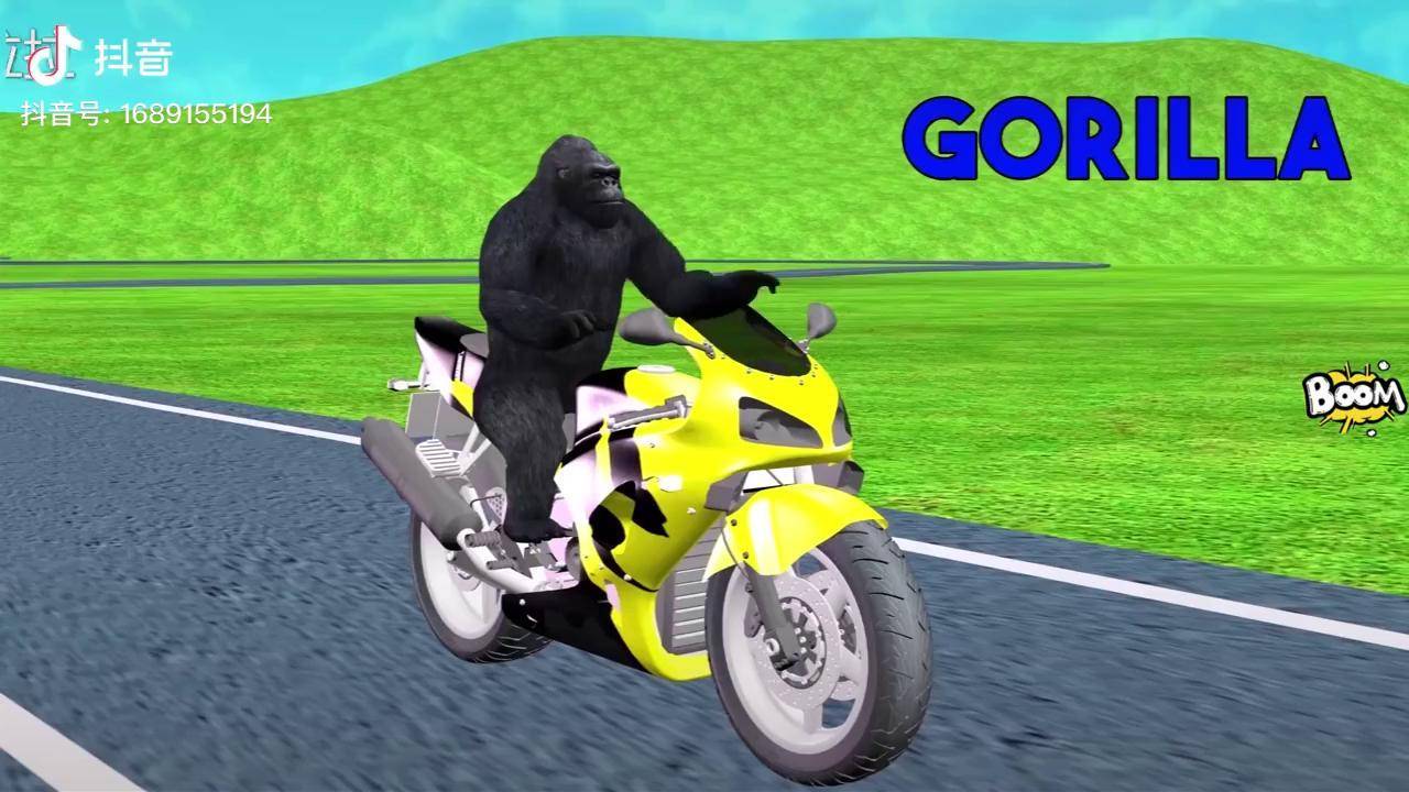 动物骑摩托车去超市购物这波操作萌萌哒学习动物英语启蒙