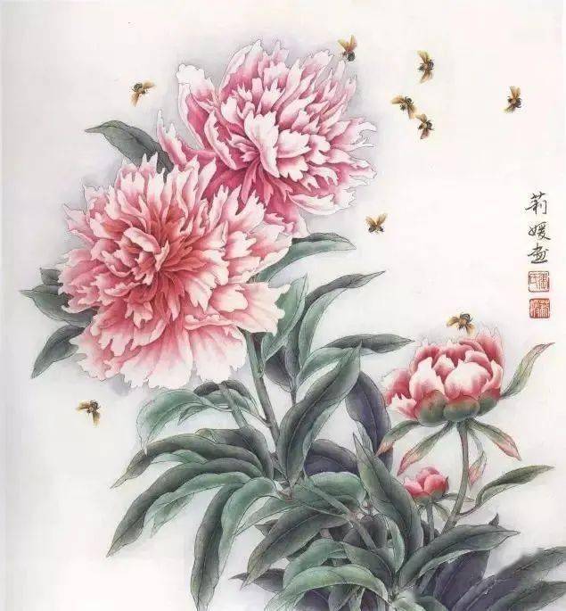 国画教程婀娜多姿的工笔芍药画法附白描画稿