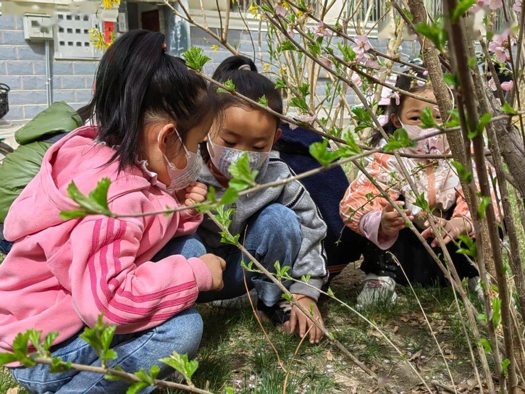 金塔县北关幼儿园:遇见春暖花开 探索春天奥秘