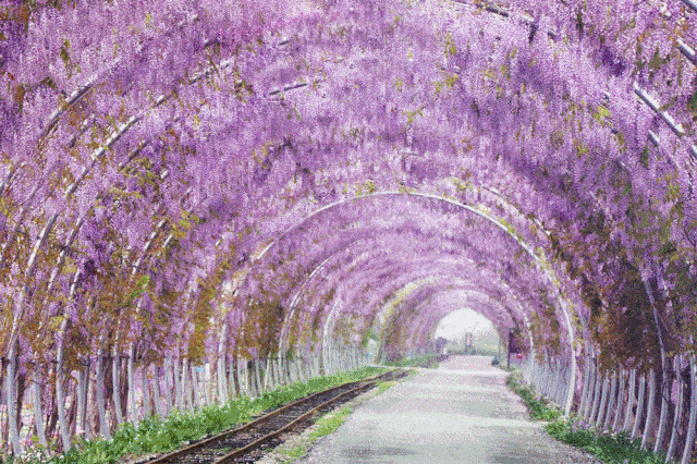 36 游乐免费玩!_西游记_乐园_dang