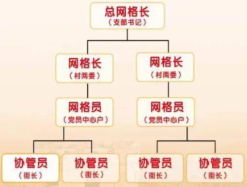 以村党支部为核心,建立"村党支部-网格党小组-党员中心户"三级组织