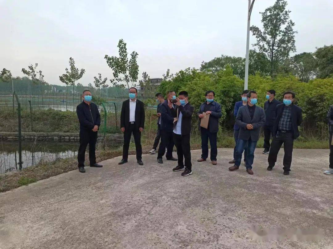 罗山县周党镇开展城乡人居环境综合整治观摩评比活动