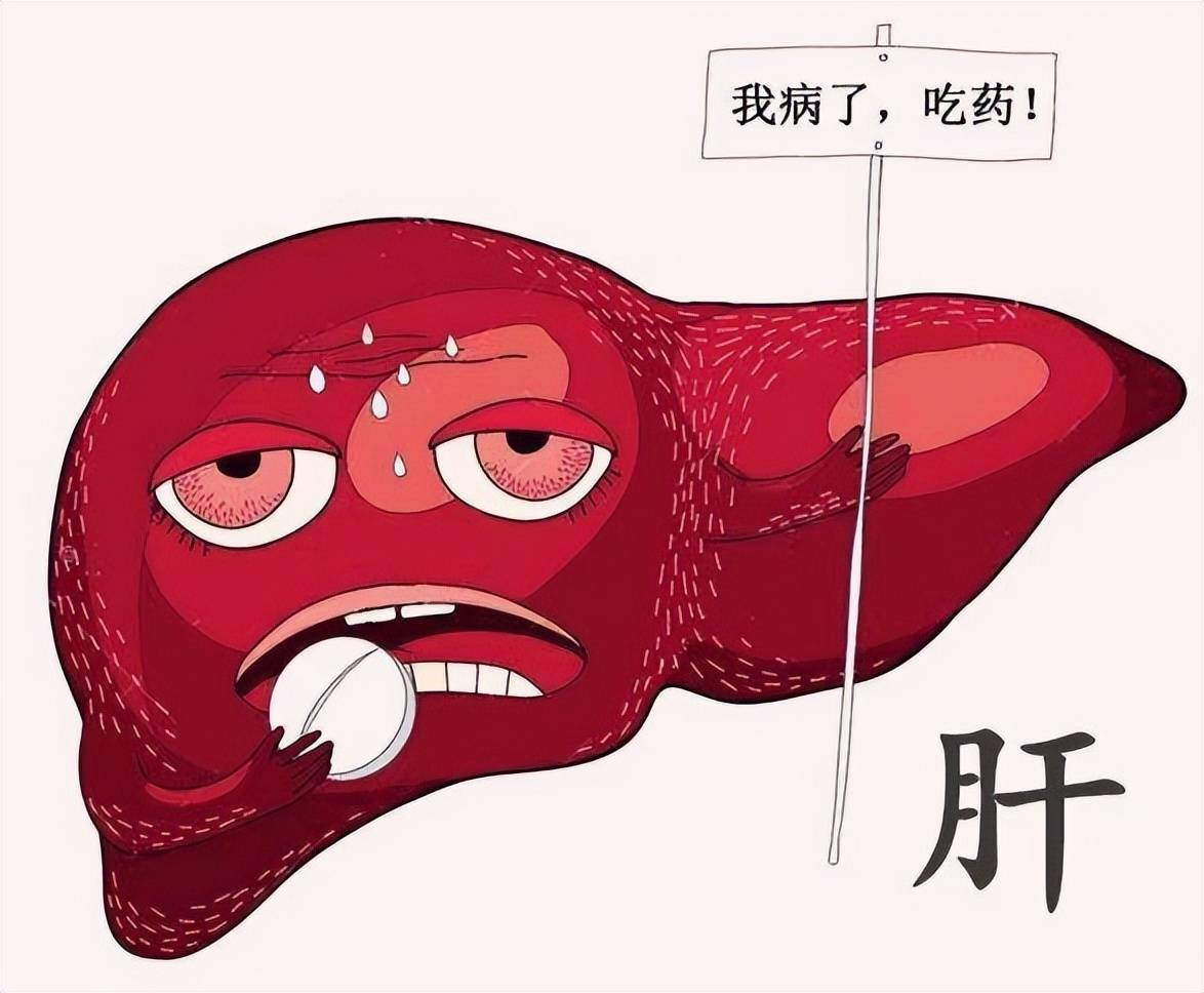 马上停止喝这4种中药,被医生列入伤肝"名单",但很多人不知_药物_肝脏