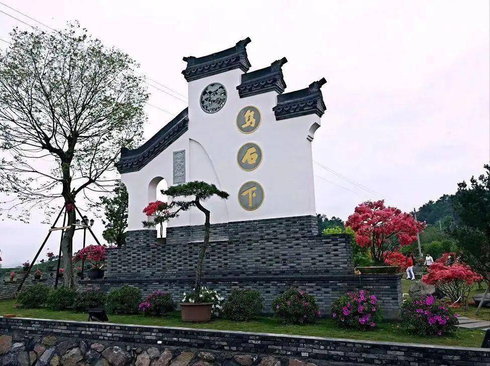 当下正是映山红绽放的季节,一场春雨过后,天台县平桥镇乌石下的映山红