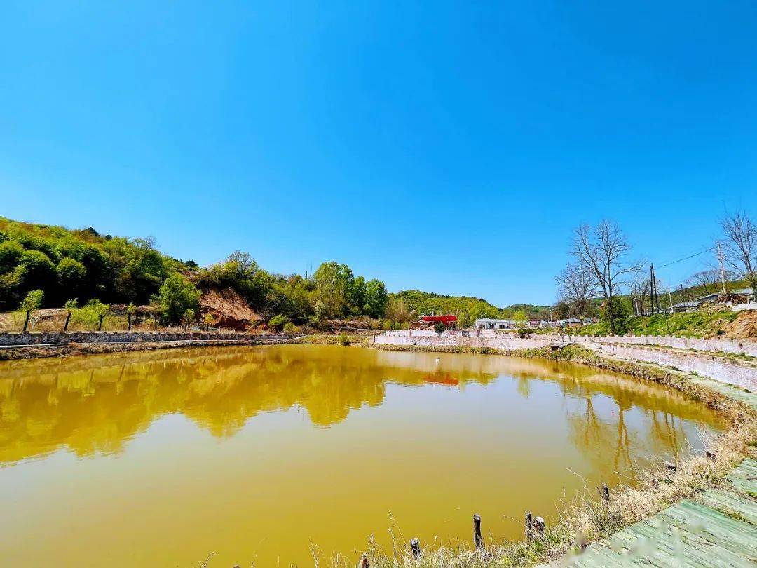 黄陵店头镇新城村人居环境再发力扮靓乡村振兴底色