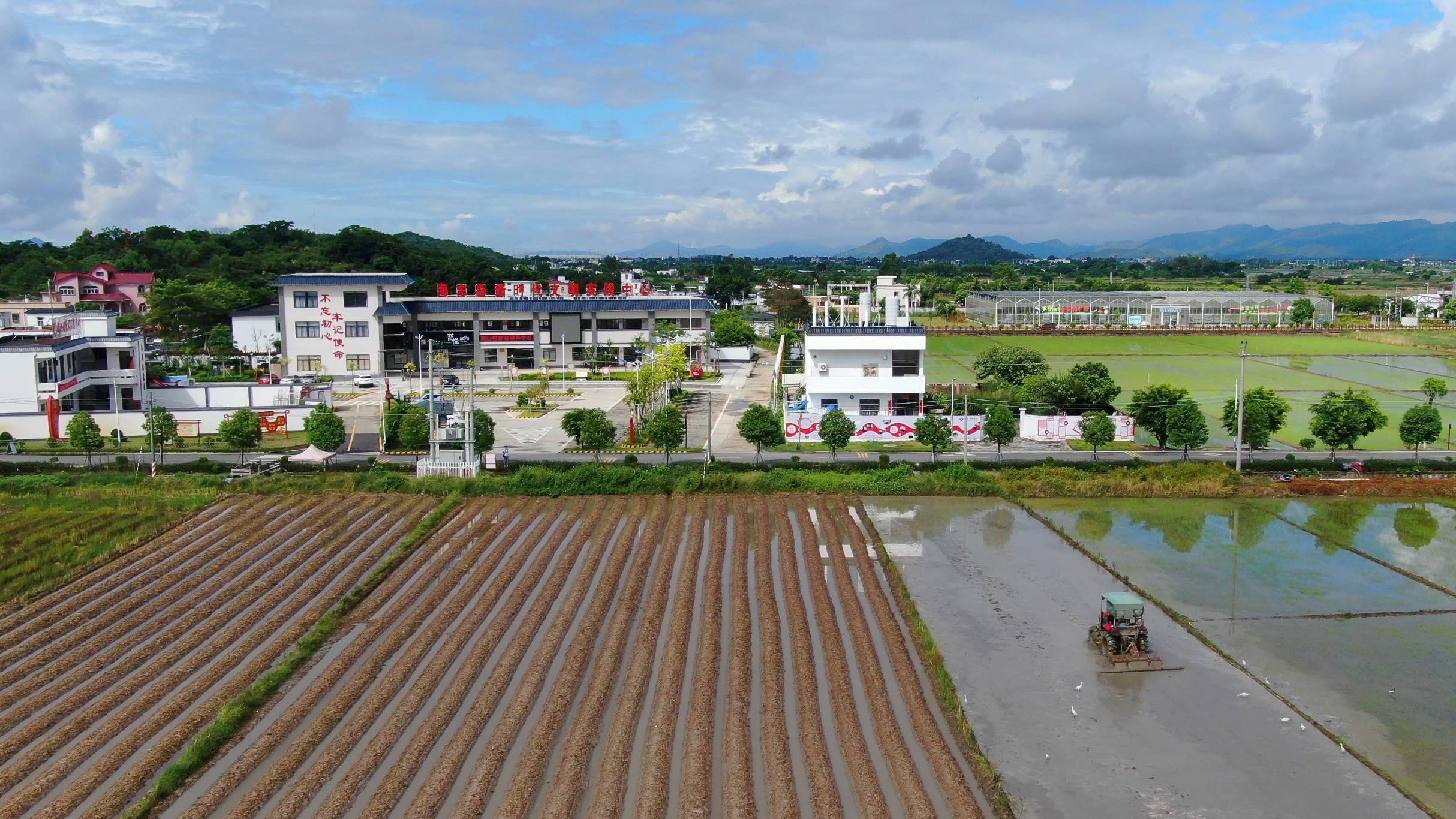 海丰县附城镇新山村红绿融合发展绘就乡村振兴画卷