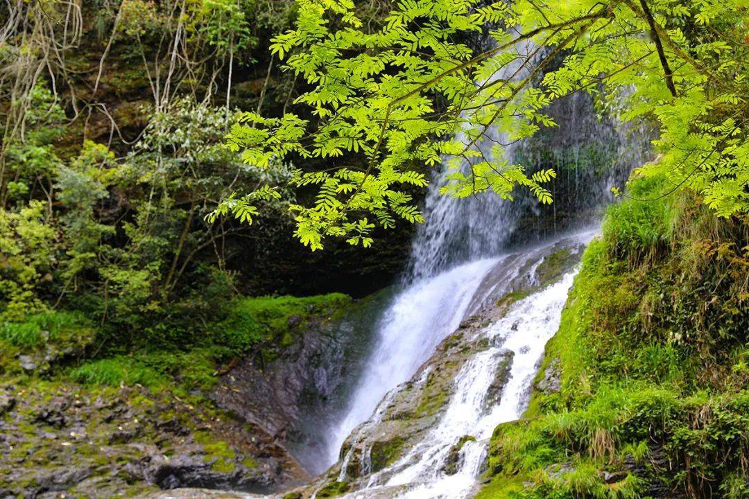 四季黄山 相约春天 | 绿野仙踪 | 皖南打鼓岭,人间 "瑶池" 境_黟县