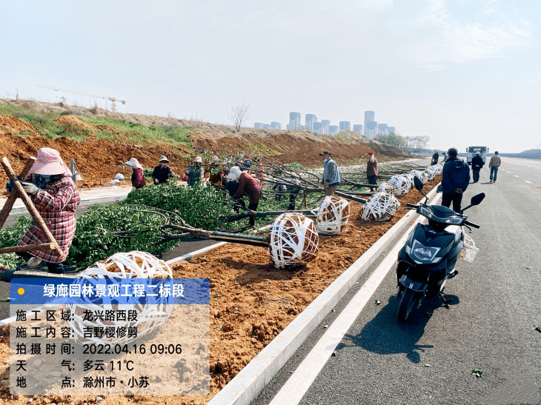 龙兴路绿廊项目加速推进_滁州市_施工_土方