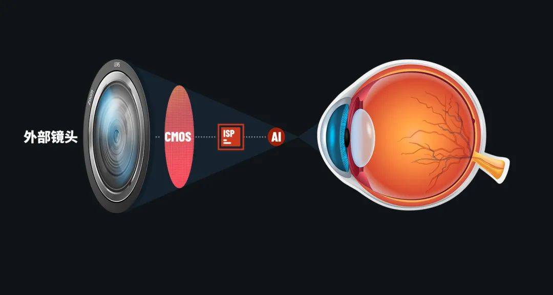 手机里的芯片到底有什么用为什么大家都想要更强