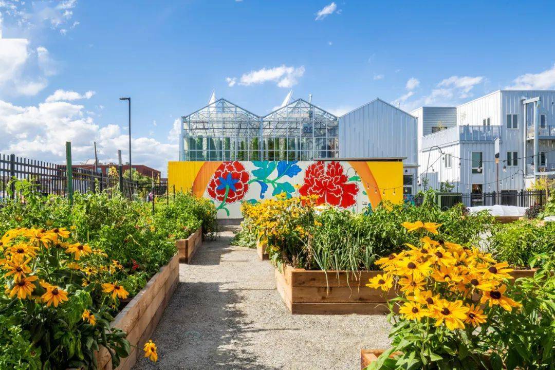 uas从阳台到社区到整座城市都市农场这么做