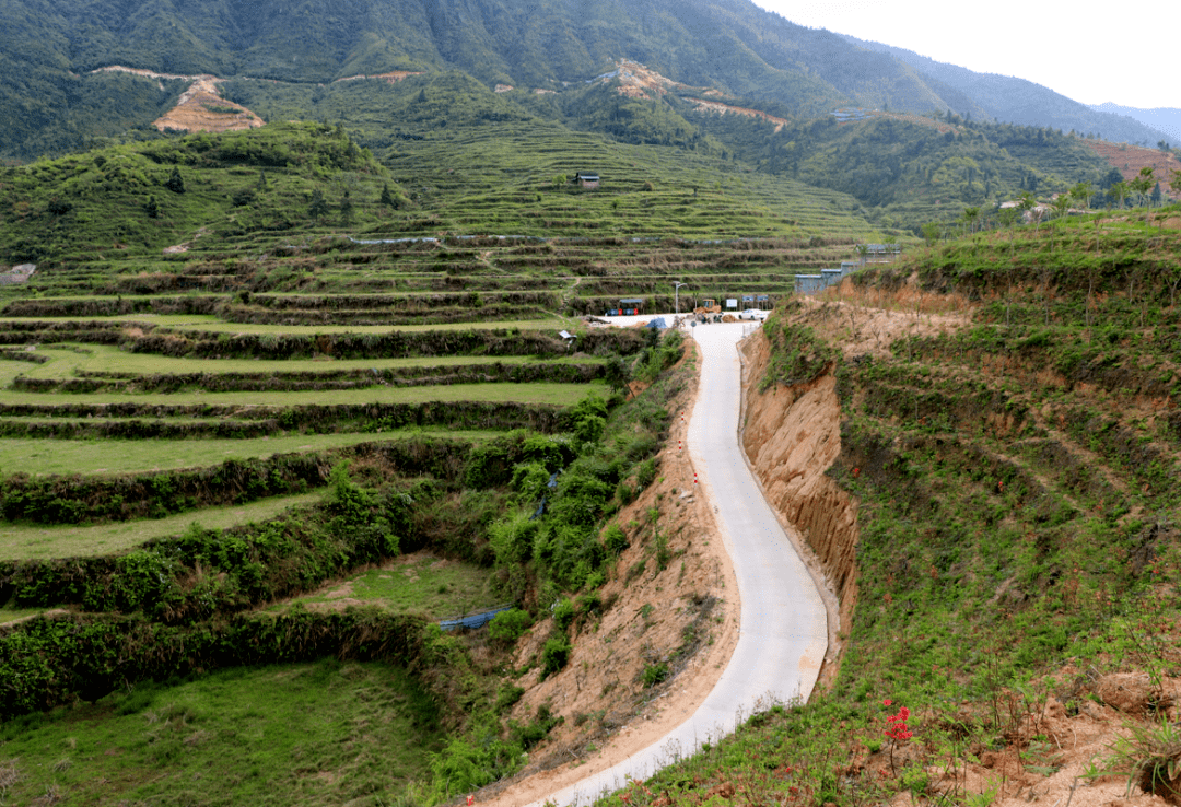 清远这地方用一条机耕路"唤醒"千亩良田_项目_梯田_大坪镇