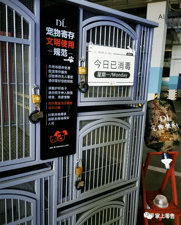 胖东来金三角店最新全卖场实景拍摄图片