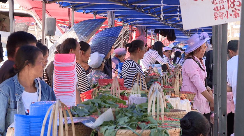 鲁甸小寨多措并举促樱桃销售