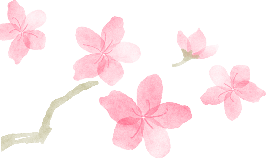 同心抗疫 共待花开 上野 动物 疫情