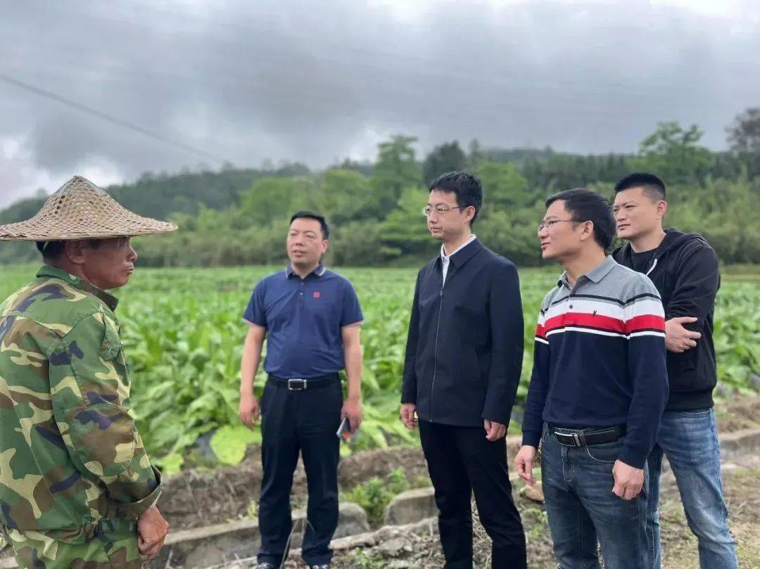 暴雨冰雹极端天气来袭沙县多地农作物受灾房屋受损