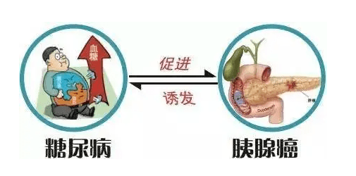 肇庆一院内分泌代谢疾病医学中心研究成果成功登上国际知名学术期刊