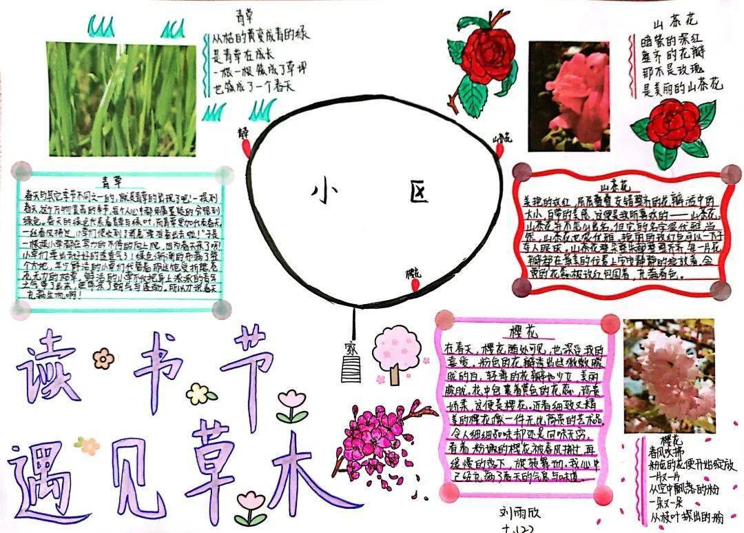 遇見人間草木一致遠初中讀書節活動啟動