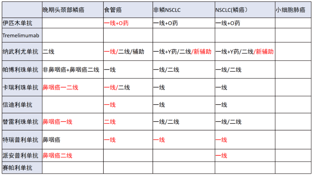 2022csco指南會王俊教授免疫檢查點抑制劑臨床應用指南解讀上篇