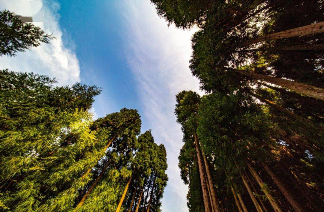 春天里的月亮坪_宣汉县_范明飞_樊孝海