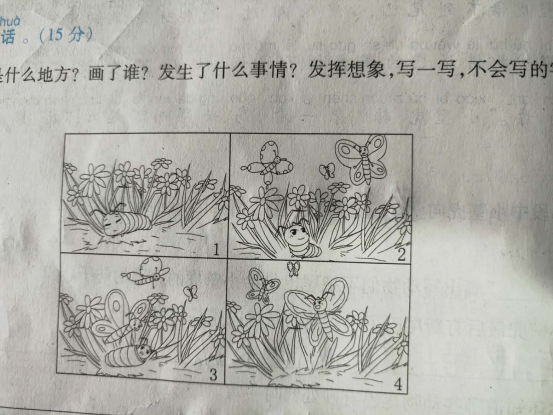 56篇常考多圖看圖寫話附範文_刺蝟_山雀_老鼠