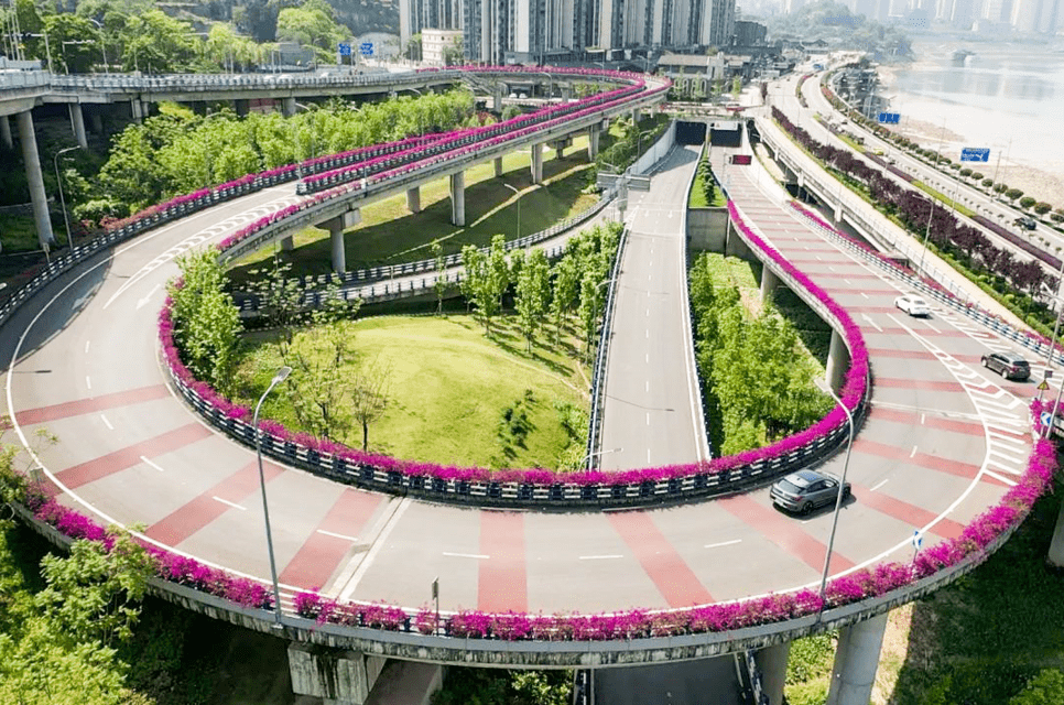 人民城市示范区 | 沙坪坝:"群众家门口的风景"可望可及_沙滨路_美景