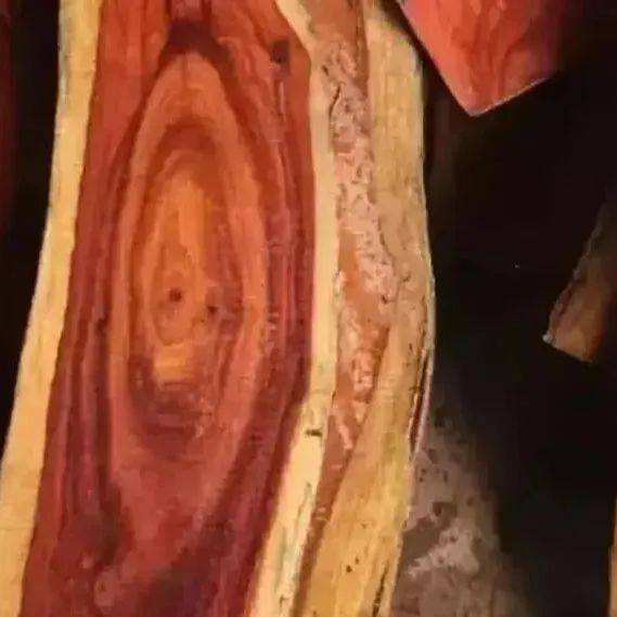 500年以上的大红酸枝才有做工艺品的价值_红木_直径约_树龄