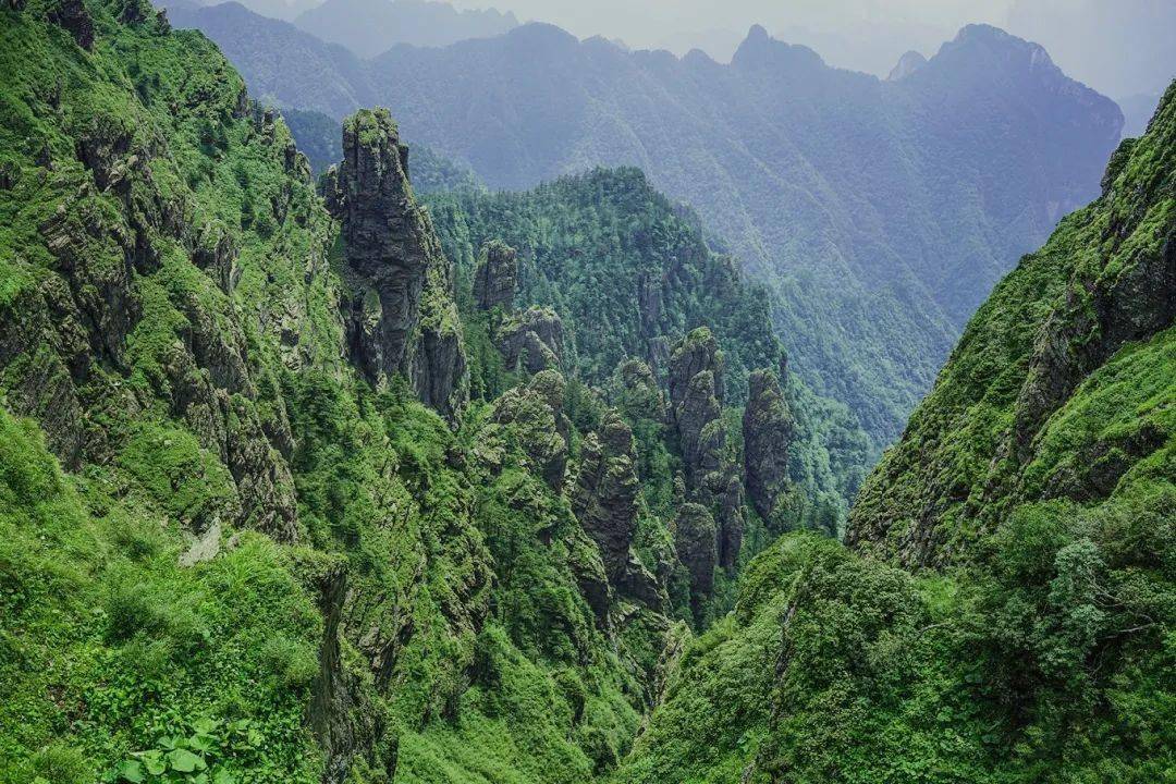 山蜂巢北纬30度的神农架风景区,是世界地质公园,国家aaaaa级旅游景区