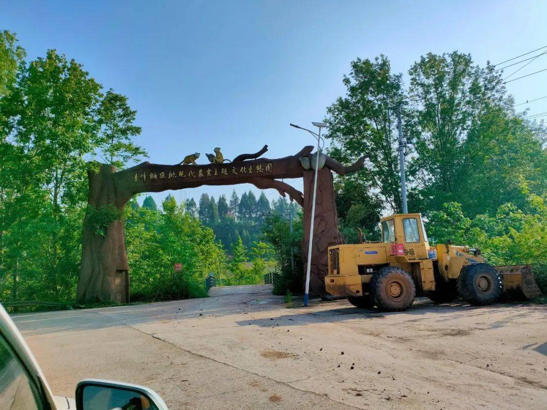 南充顺庆区大林镇