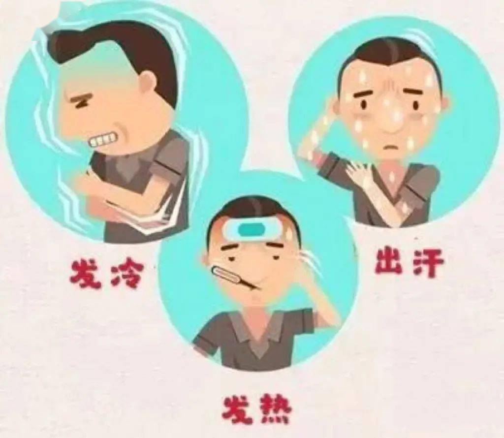 疟疾的主要症状是发冷,发热,出汗.每天,隔天或隔两天发作一次.